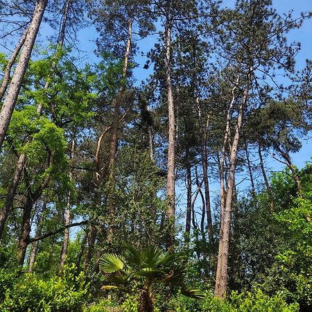 Secret Wellness Boszicht Villa Holten Dış mekan fotoğraf