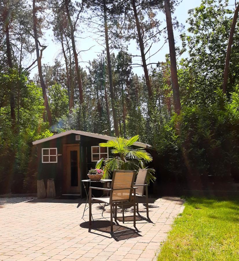 Secret Wellness Boszicht Villa Holten Dış mekan fotoğraf