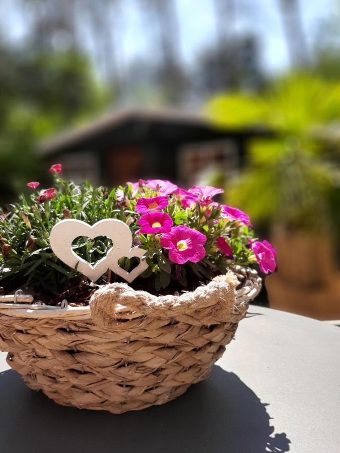 Secret Wellness Boszicht Villa Holten Dış mekan fotoğraf