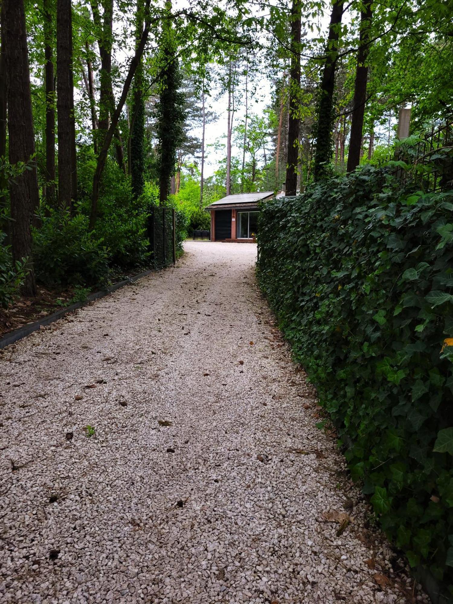 Secret Wellness Boszicht Villa Holten Dış mekan fotoğraf